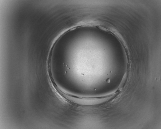 X0000070211344200605261242