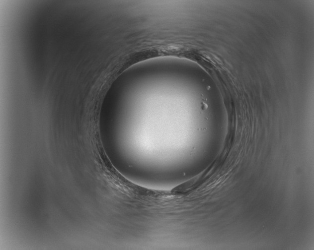 X0000070211345200605261241