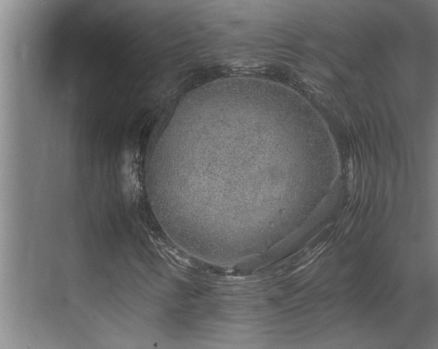 X0000070211346200605261241