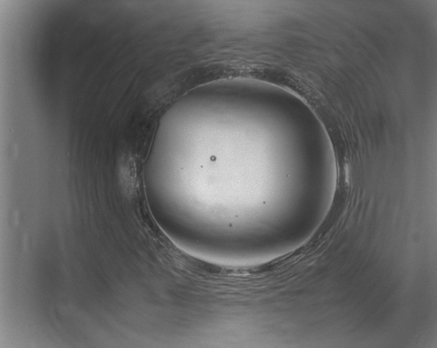 X0000070211347200605261241