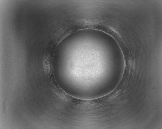 X0000070211348200605261241