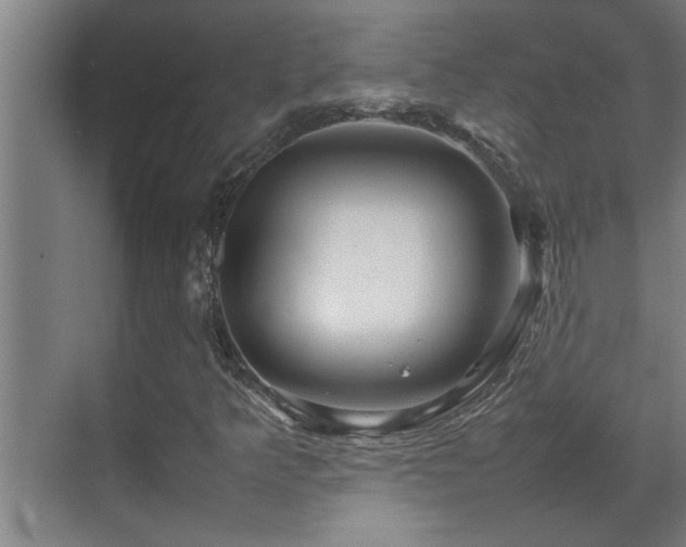 X0000070211349200605261241