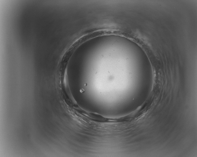 X0000070211352200605261241