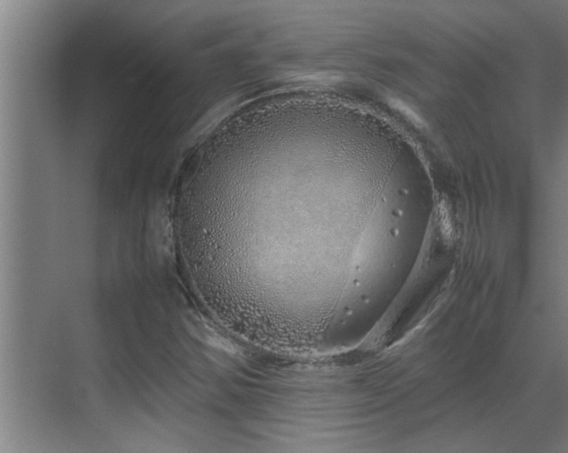 X0000070211354200605261241