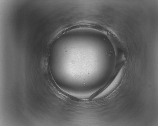 X0000070211355200605261241