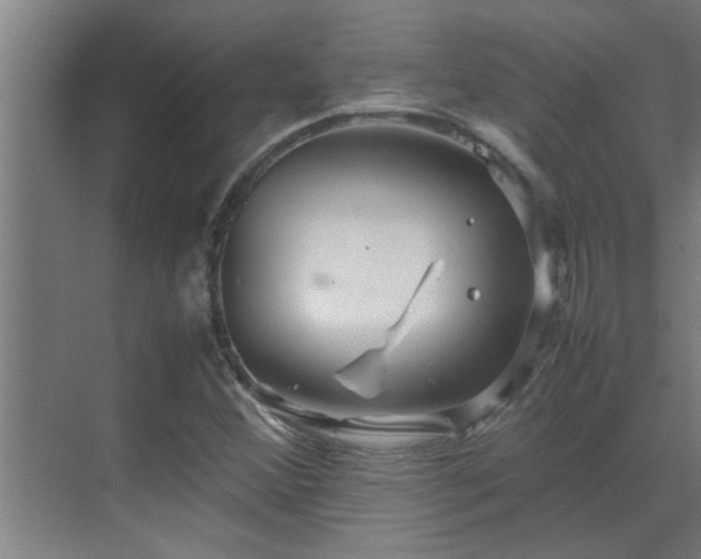 X0000070211356200605261241