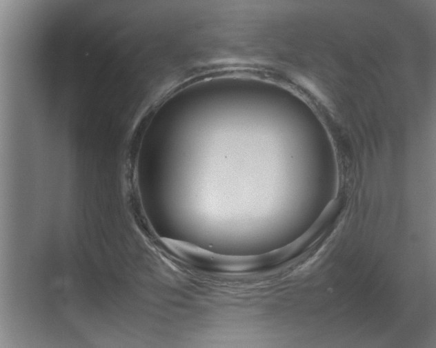 X0000070211357200605261241