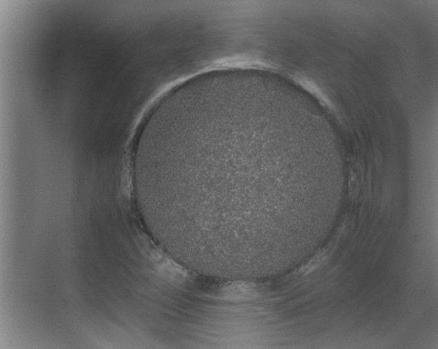 X0000070211358200605261241