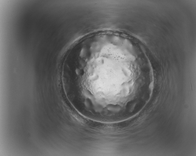 X0000070211359200605261241