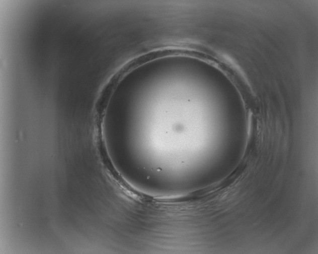 X0000070211360200605261241