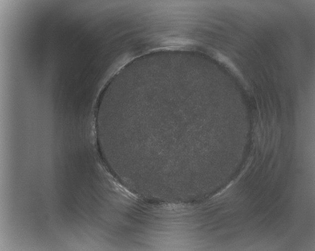 X0000070211362200605261241