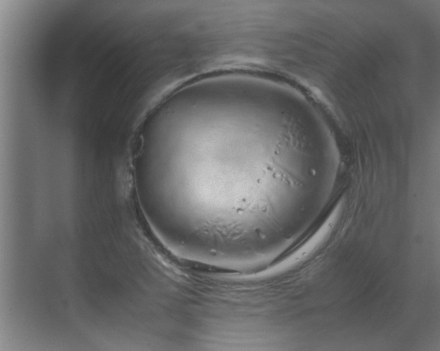 X0000070211363200605261241