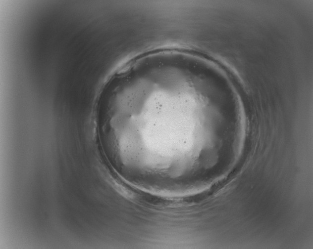 X0000070211367200605261241