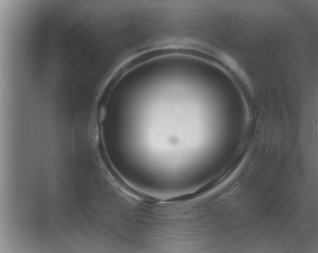 X0000070211368200605261241