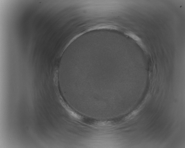 X0000070211369200605261241