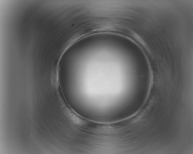 X0000070211370200605261241