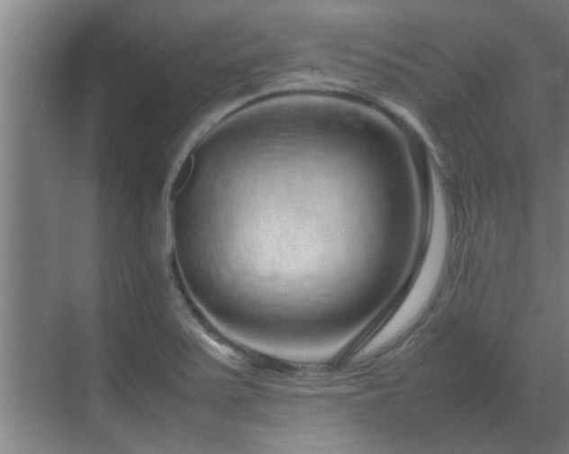 X0000070211371200605261241