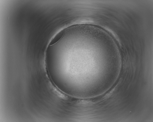 X0000070211374200605261241