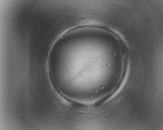 X0000070211375200605261241