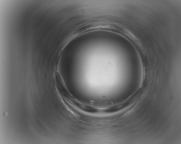 X0000070211377200605261241