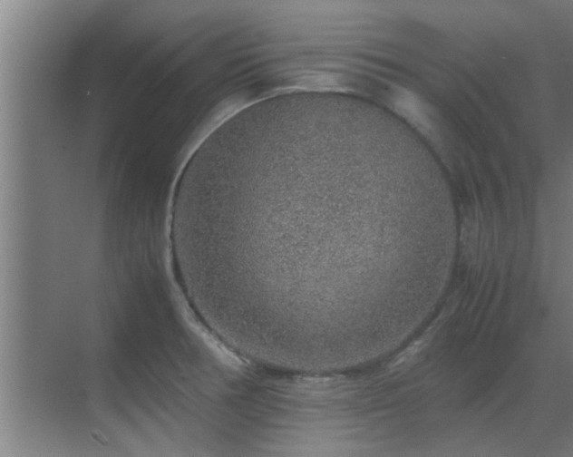 X0000070211378200605261241