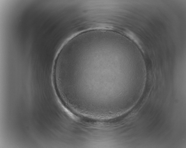 X0000070211379200605261241