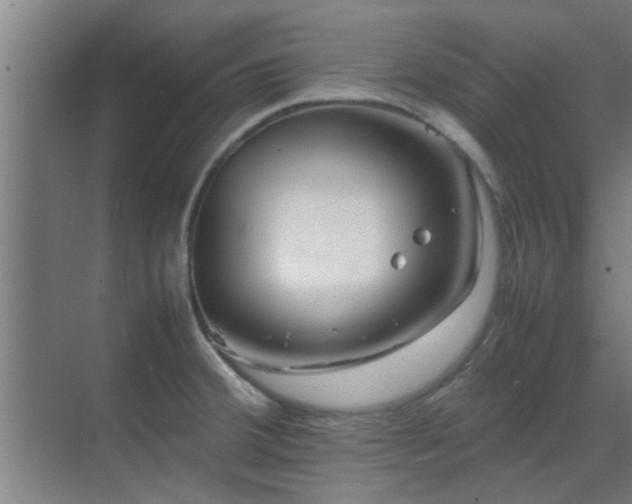 X0000070211380200605261241