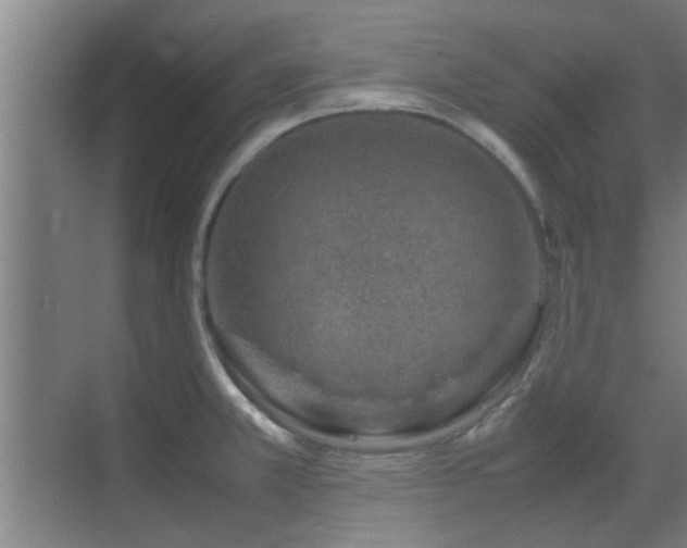 X0000070211381200605261241