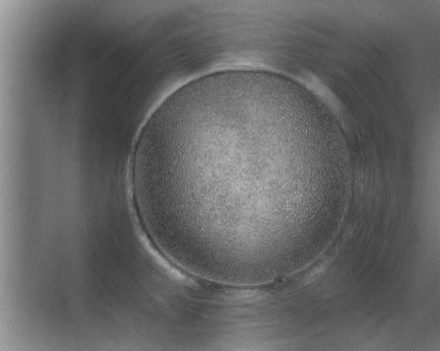 X0000070211382200605261241