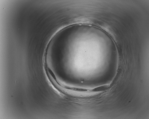 X0000070211383200605261241