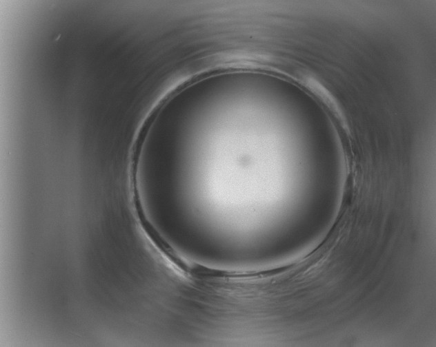 X0000070211384200605261241