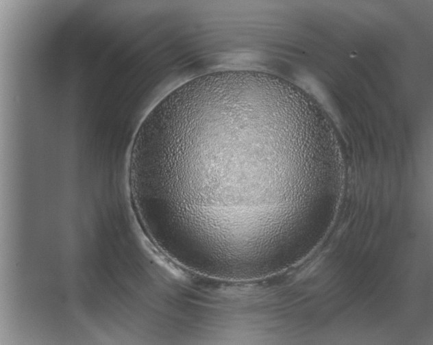 X0000070211386200605261241