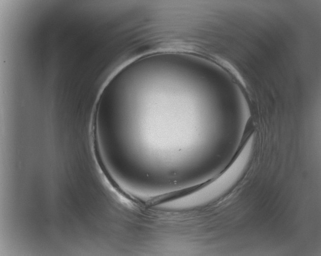 X0000070211387200605261241