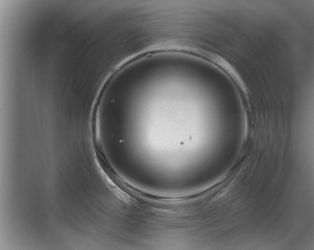 X0000070211388200605261241