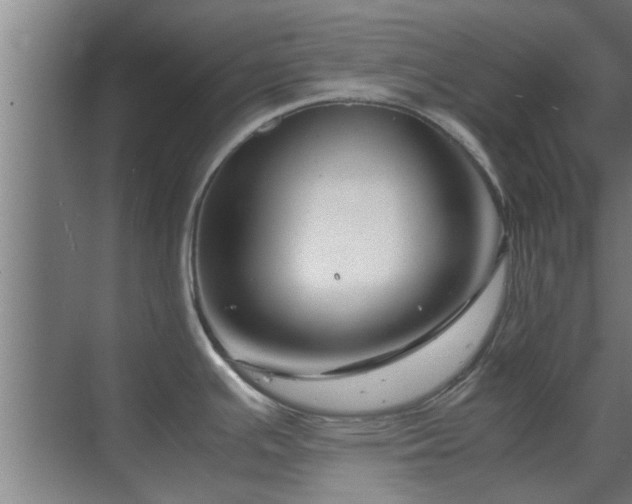 X0000070211391200605261241