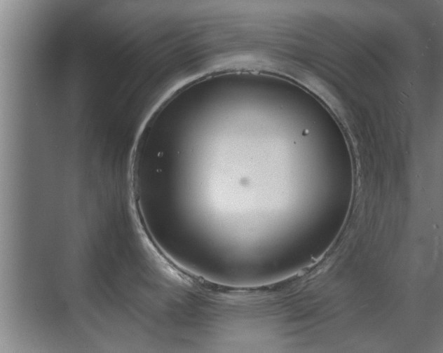 X0000070211392200605261241