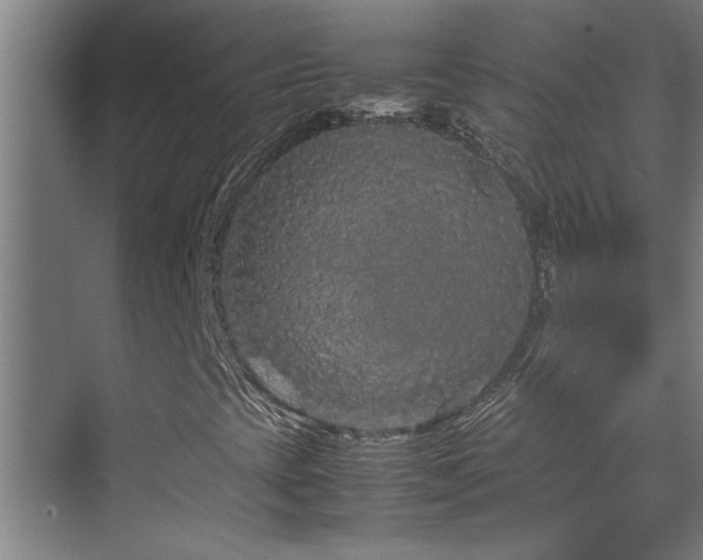 X0000070211393200605261240