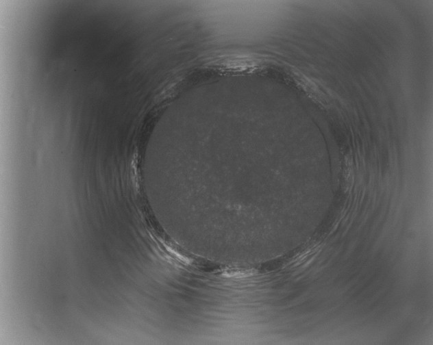 X0000070211394200605261240