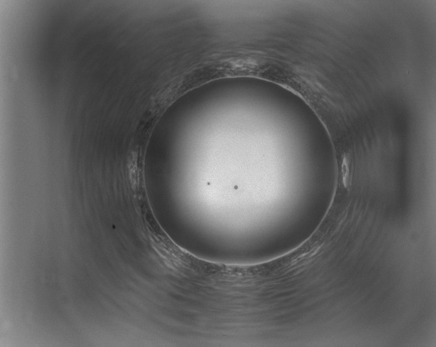 X0000070211395200605261240