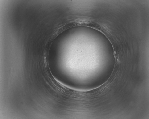 X0000070211396200605261240