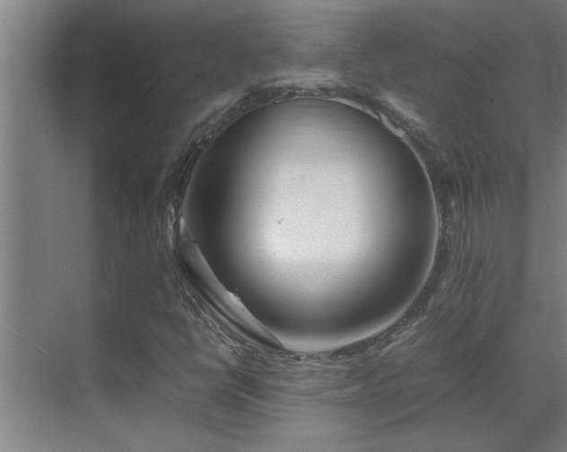 X0000070211398200605261240