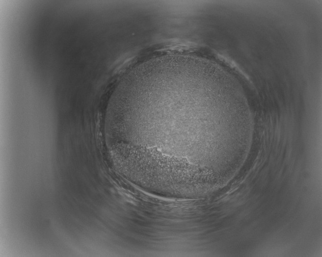 X0000070211399200605261240