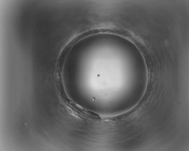 X0000070211400200605261240