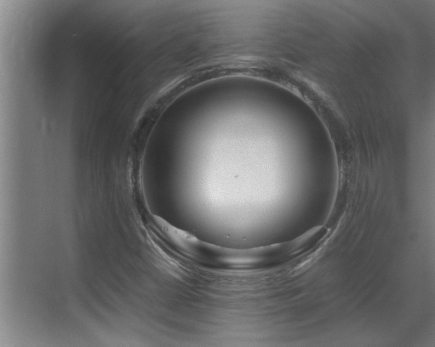 X0000070211402200605261240