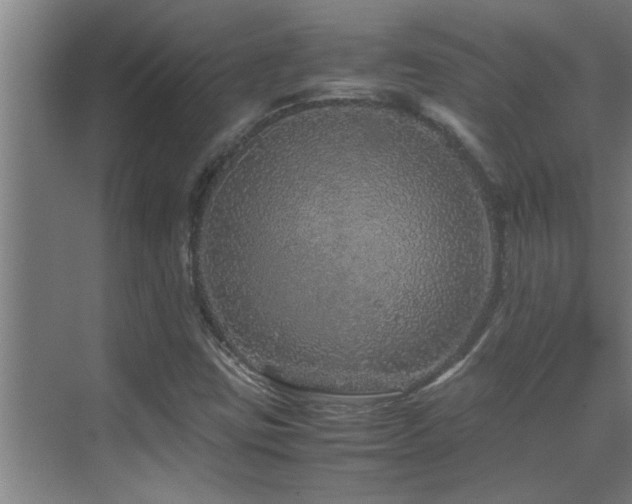 X0000070211403200605261240