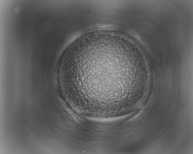 X0000070211405200605261240