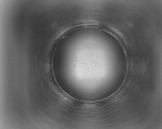 X0000070211407200605261240