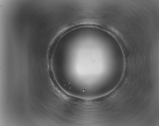 X0000070211408200605261240