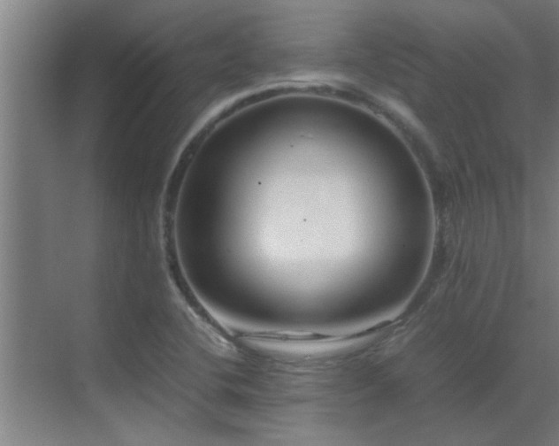 X0000070211412200605261240