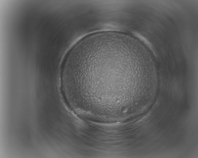 X0000070211415200605261240